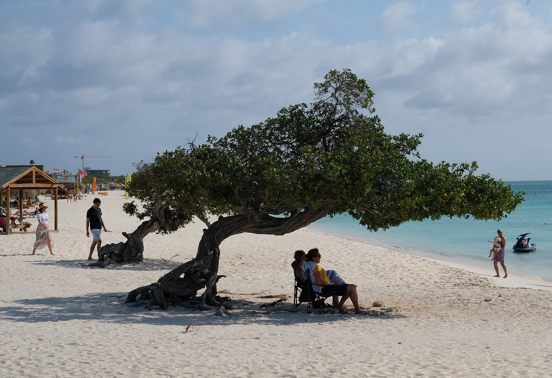 Aruba — ColvaRay travel photography