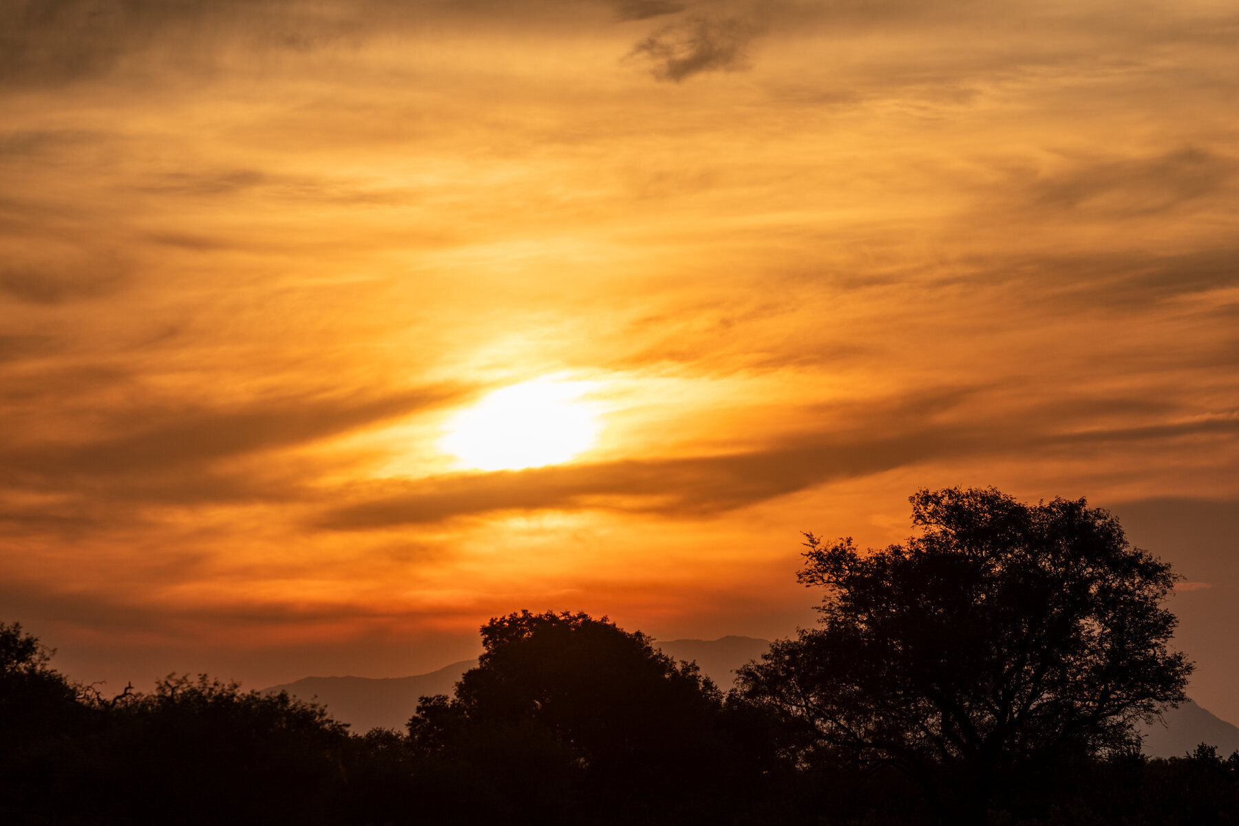 Africa — ColvaRay travel photography