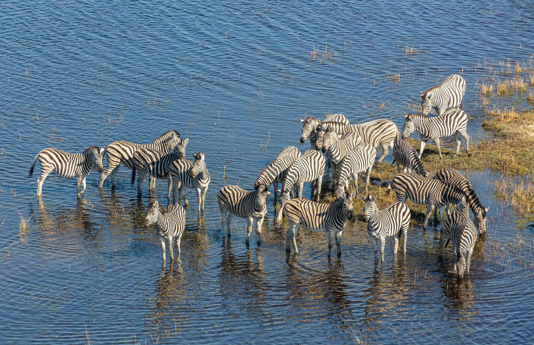 Botswana — ColvaRay travel photography