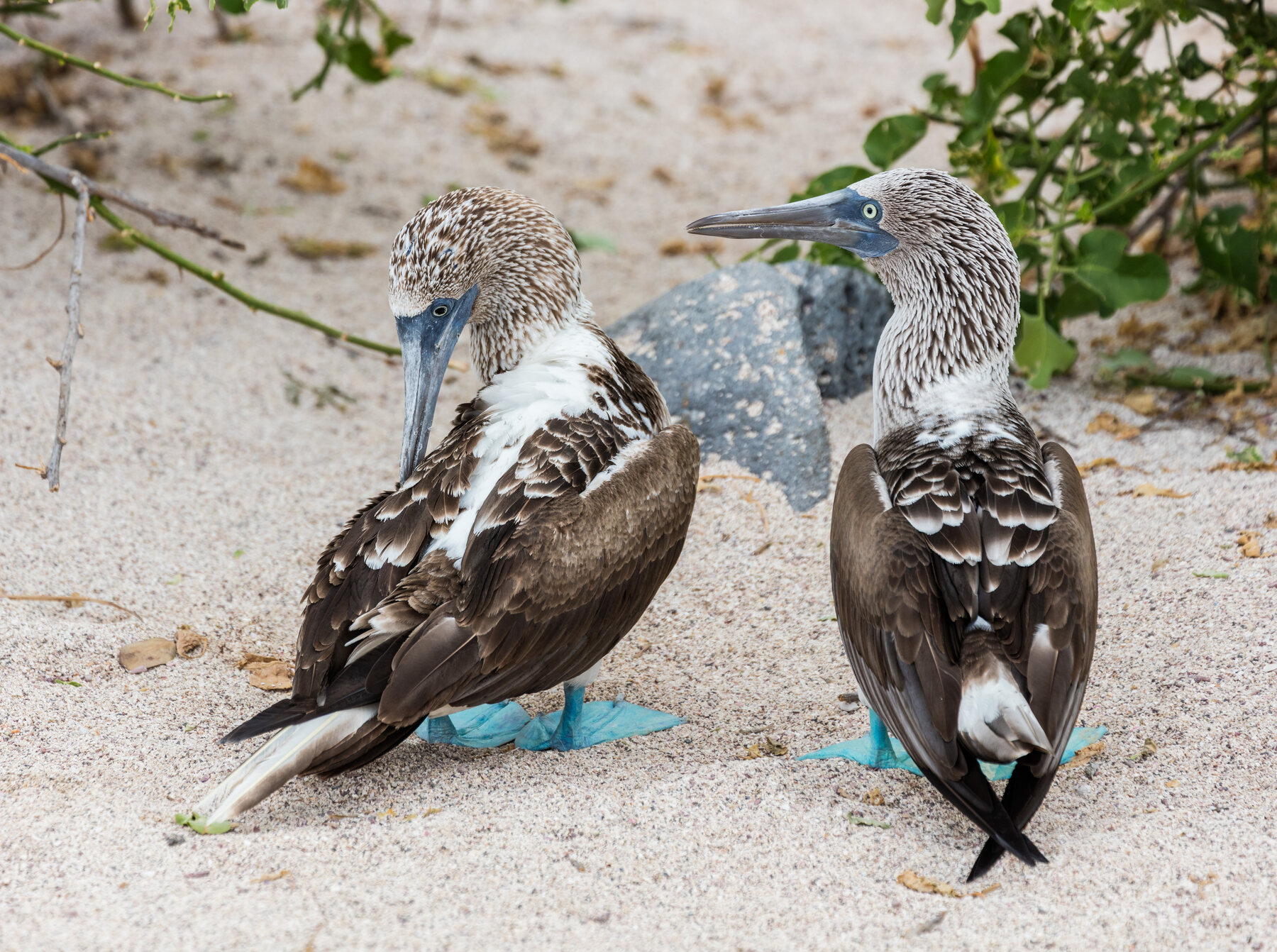 Ecuador & Galápagos — ColvaRay travel photography