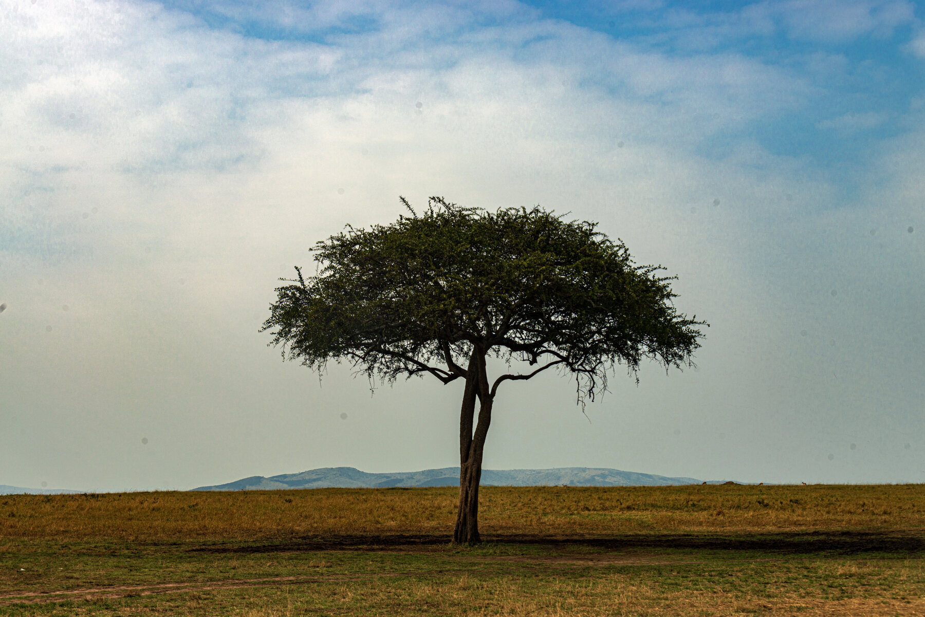Kenya — ColvaRay travel photography